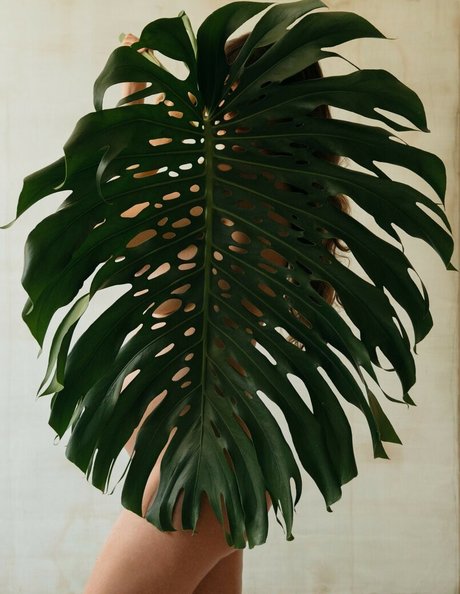 Lauren Marie Young estrella porno exclusiva imagen