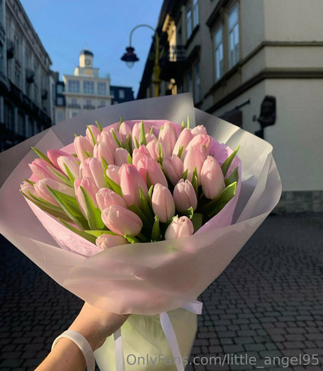 little angel95 estrella bonita archivo