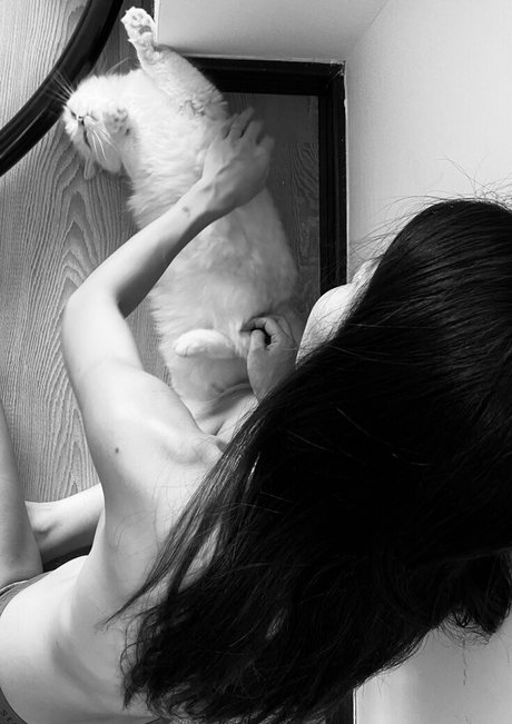 asian secret estrella porno perfecta galerías