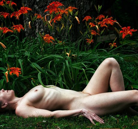 love refined arte modelo galerías