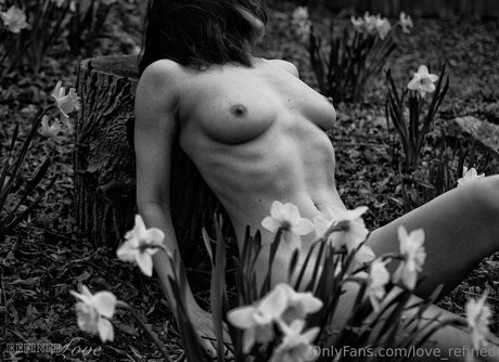 love refined bonita estrella imágenes