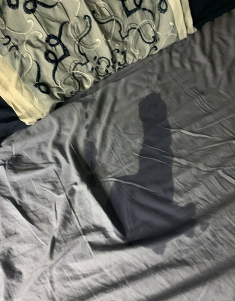 m ashley55 estrella del arte archivo