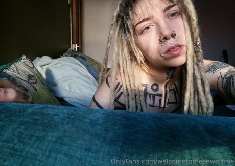 welcometothesewerfree estrella agradable foto