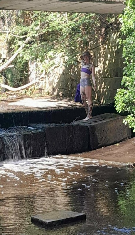 welcometothesewerfree estrella de alta calidad galerías