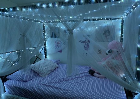 kbrandy99 estrella archivo