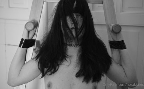 norakitties linda estrella foto