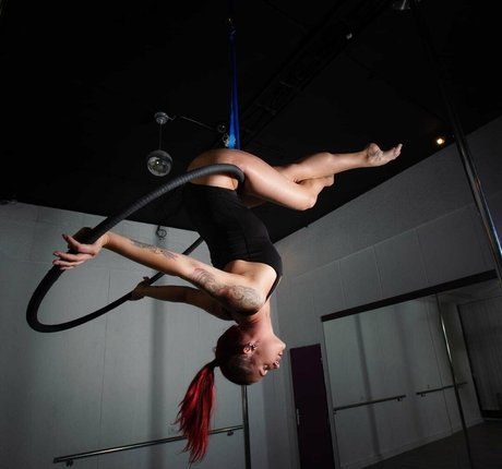 larraphoenix estrella atractiva imagen