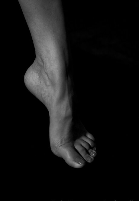 only miia estrella porno galerías