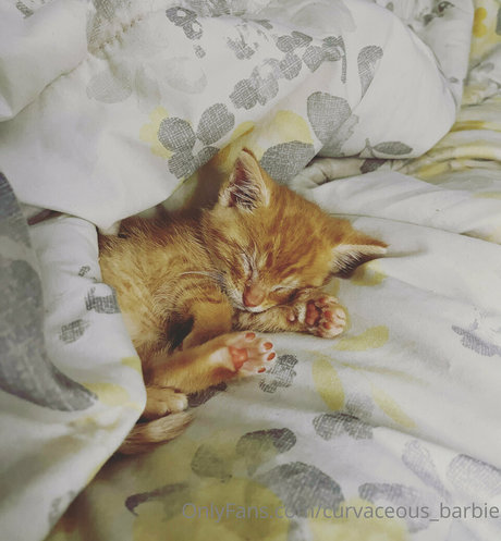 curvaceous barbie modelo sexy archivo