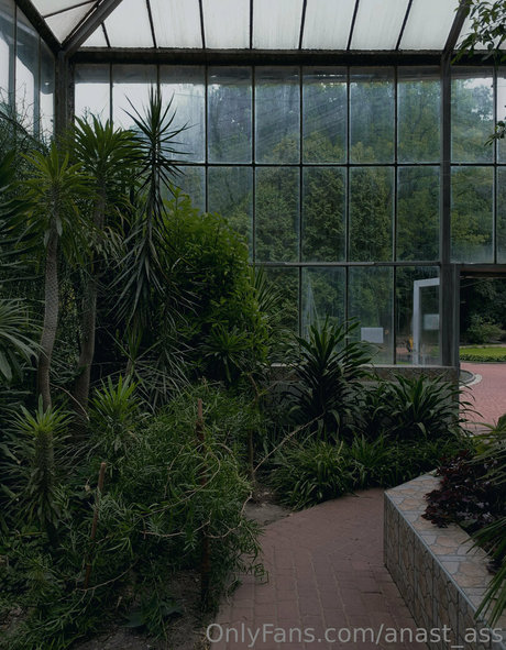 anast ass Profilfoto