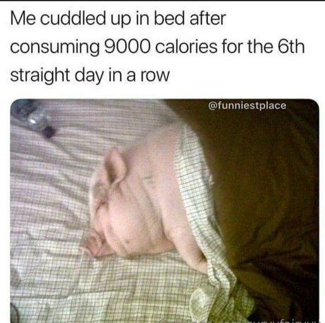 curvyfairyyy estrella porno perfecta galería