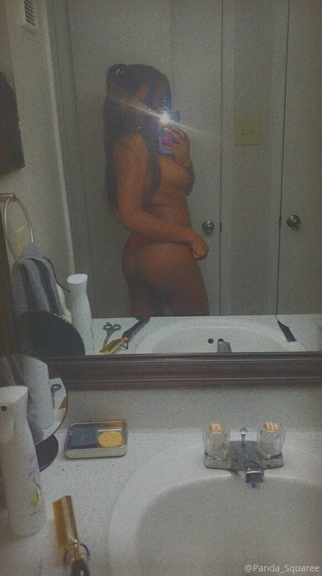 panda squaree estrella agradable foto