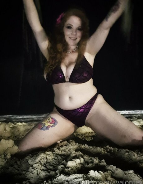 avalonfey estrella bonita galería