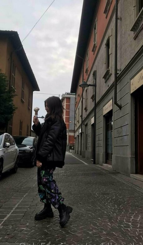 saddleviola libre de estrellas galería