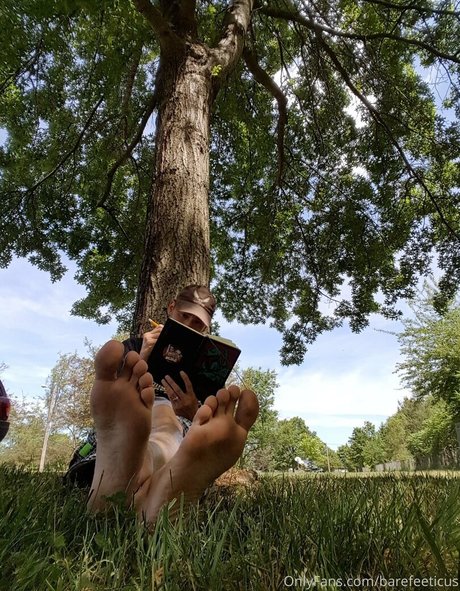 barefeeticus estrella superior galerías