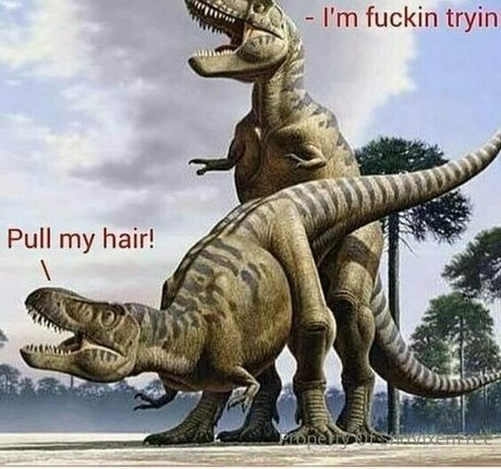 snovixen modelo sexy galerías