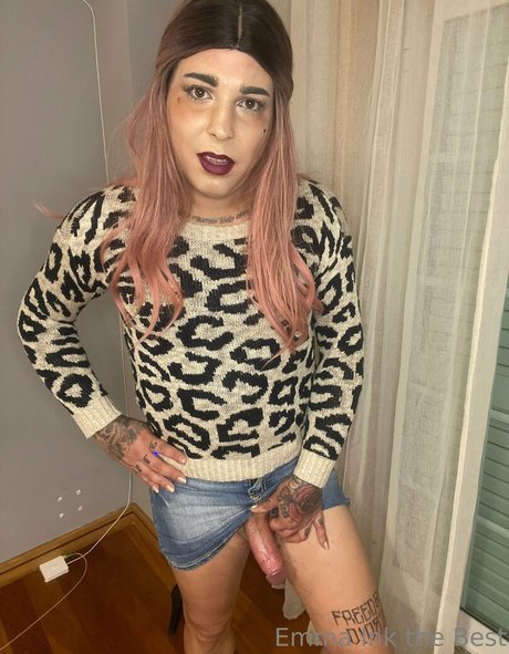 emmaink13 mejor modelo recopilación