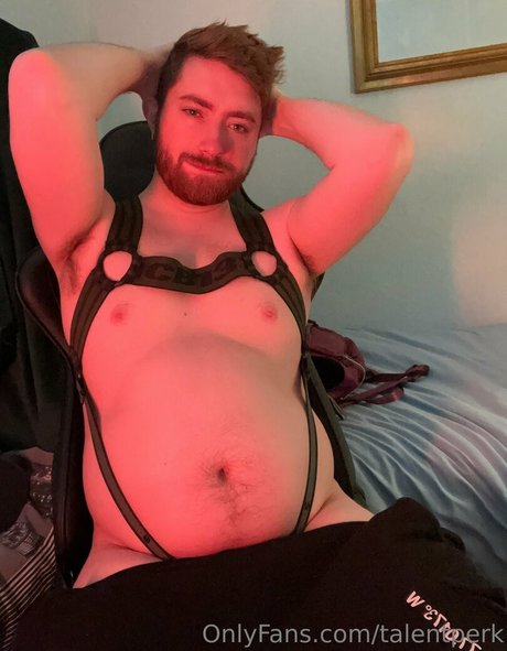 talentperk buen modelo galerías