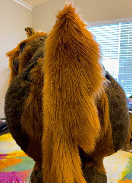 rain horsie estrella porno xxx galería