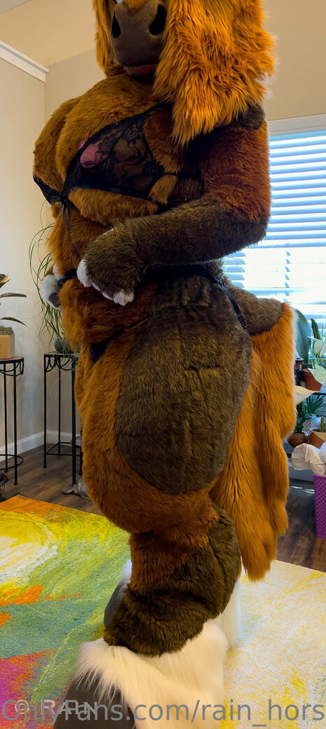 rain horsie hermosa modelo foto