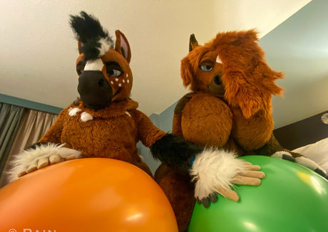 rain horsie estrella porno gratis imagen