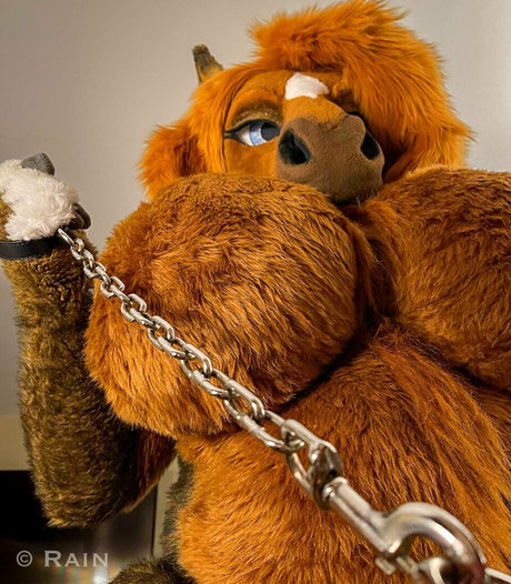 rain horsie linda estrella archivo