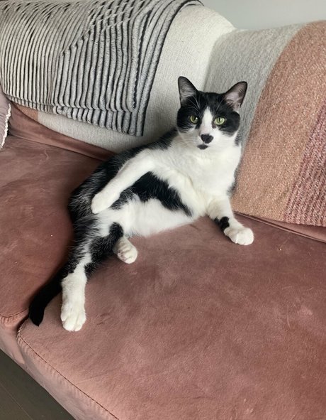 lauuu x estrella desnuda archivo