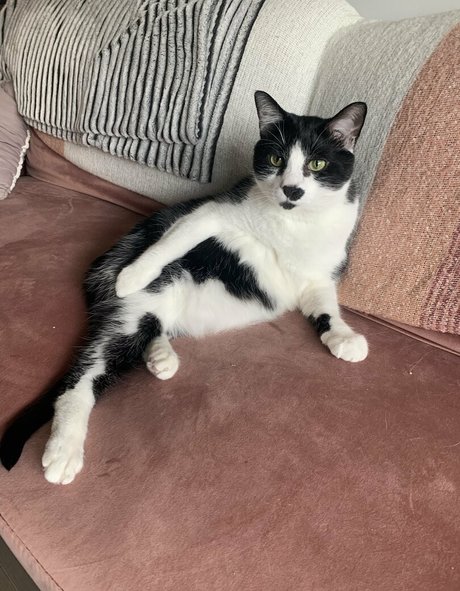 lauuu x modelo porno archivo