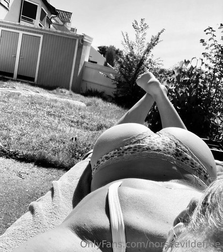 norskevildefree estrella porno desnuda imagen