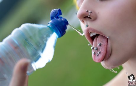 eveowl modelo de alta definición archivo