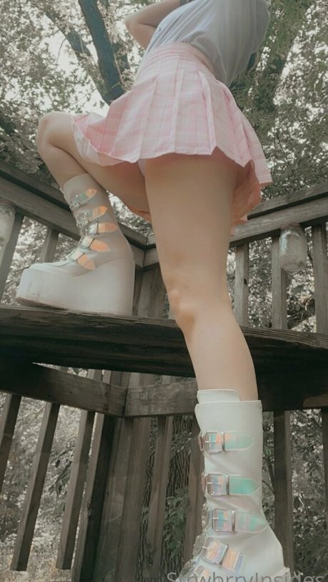 viinusflytrap modelo hd galerías