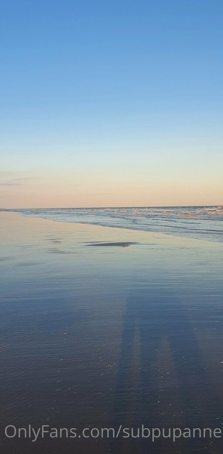 subpupanne estrella porno en alta definición imagen