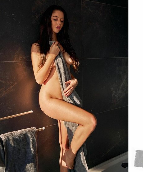 Zoelle modelo libre recopilación