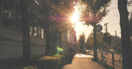 shiina sora712 buena actriz galerías