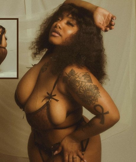 Oyastorms estrella xxx archivo