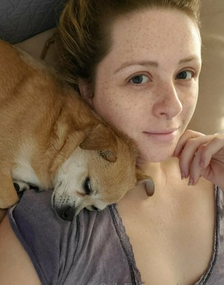 afaeded modelo superior galería