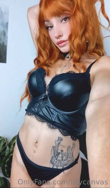 lillycanvas modelo de alta definición imágenes