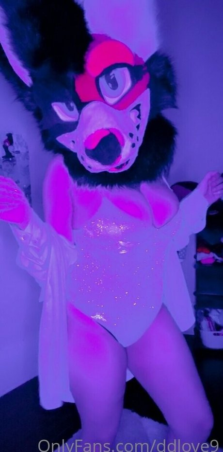 ddlove9 mejor estrella recopilación