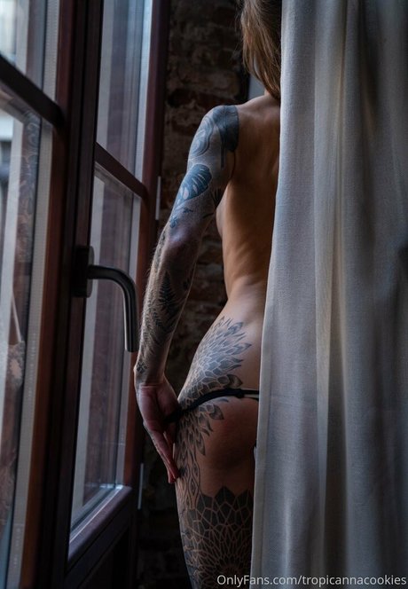 tropicannacookies actriz xxx imagen