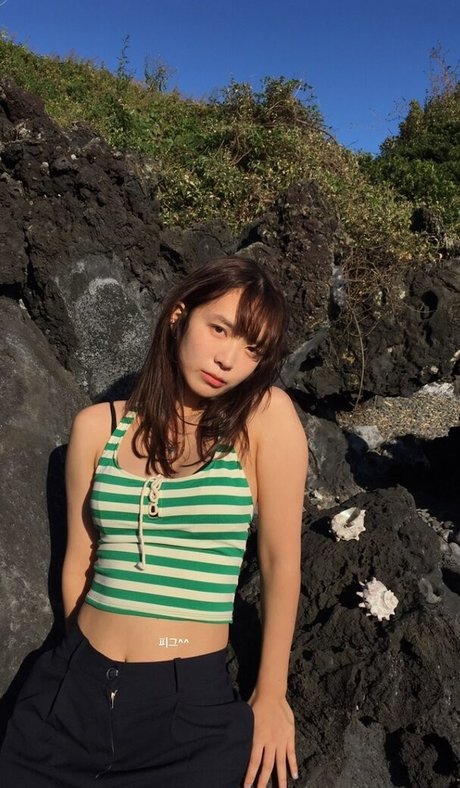 Yunjinpet estrella caliente archivo