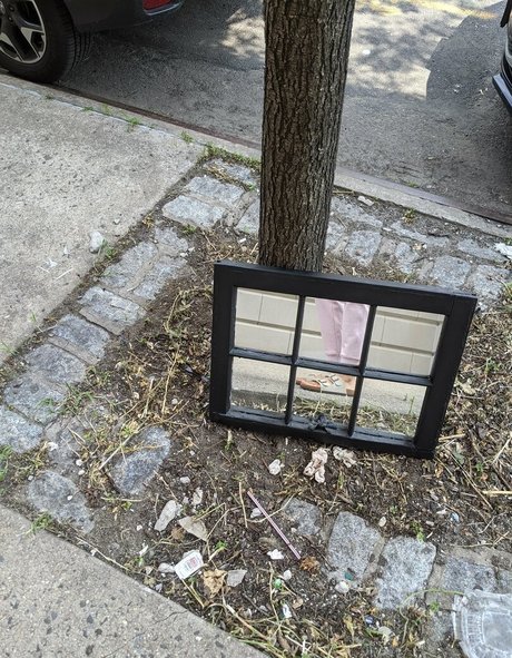 mara ming estrella porno erótica imagen