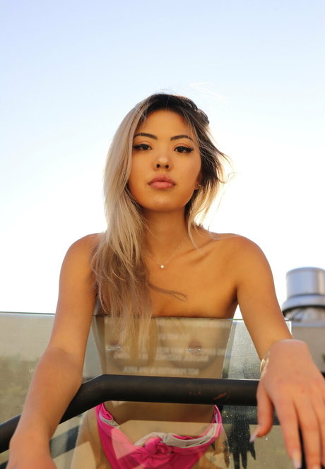 corrida transexual onlyfans xxx arriba galerías