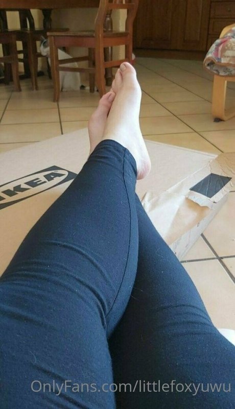 littlefoxyuwu modelo erótico archivo