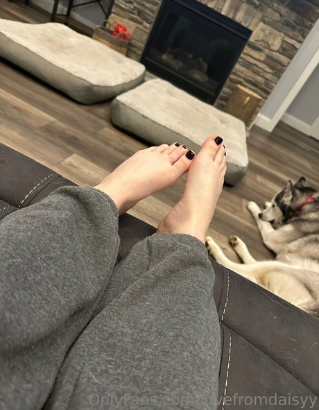 lovefromdaisyy mejor estrella porno imagen