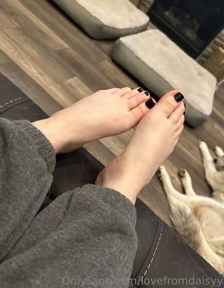 lovefromdaisyy bonita estrella archivo