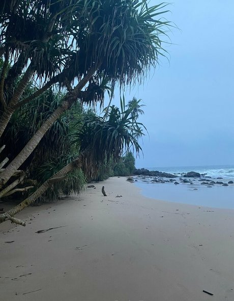 Aagrus actriz atractiva galerías