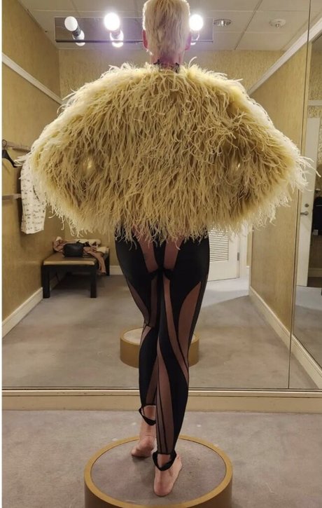 Brigitte Nielsen estrella porno perfecta imagen