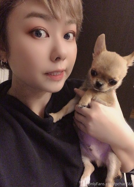 Pchan 666 sexo modelo imagen