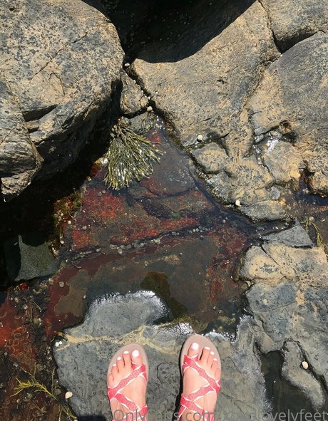 xoxolovelyfeet modelo porno galerías