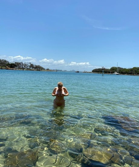 Scoutcohen desnudos de estrellas archivo